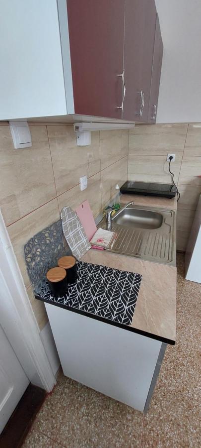 Ferienwohnung Duplex Mihajlovic-Vrnjačka Banja Exterior foto