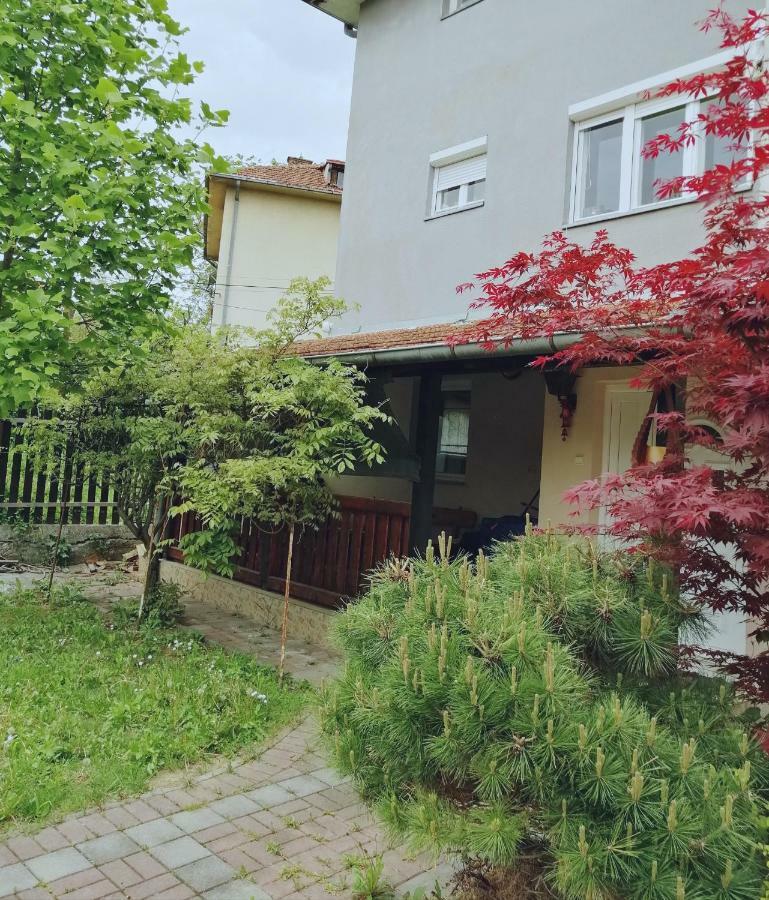Ferienwohnung Duplex Mihajlovic-Vrnjačka Banja Exterior foto