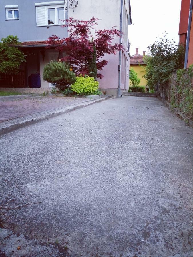 Ferienwohnung Duplex Mihajlovic-Vrnjačka Banja Exterior foto